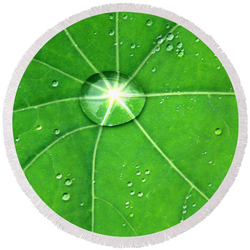  Green Leaf Round Beach Towel featuring the photograph Raindrop Junction by Aidan Moran