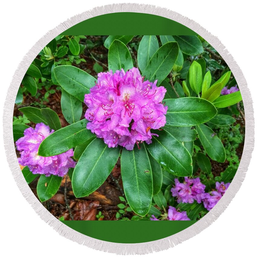 Rhododendron Round Beach Towel featuring the photograph Rainy Rhodo by Chris Berrier