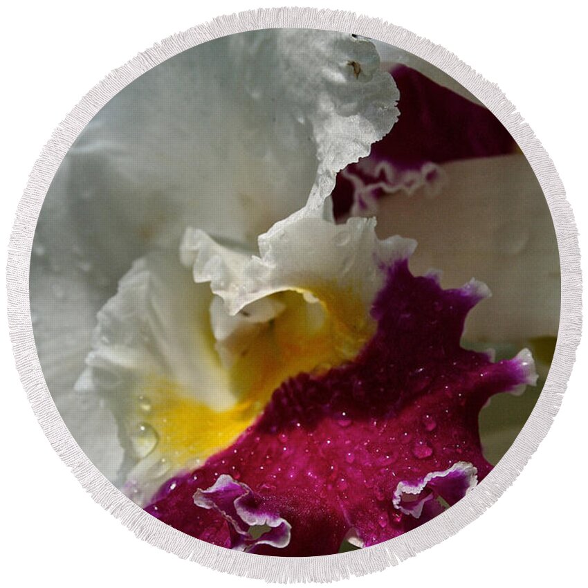 Flower Round Beach Towel featuring the photograph Raspberry Ice Orchid by Susan Herber