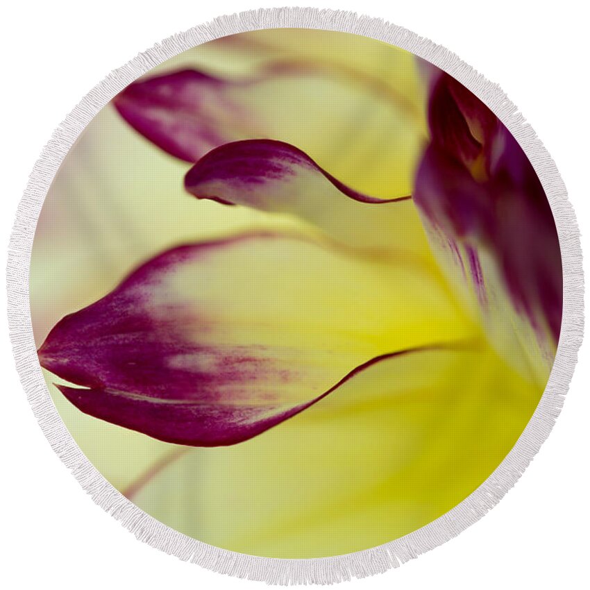 Floral Round Beach Towel featuring the photograph Reach Out by Mary Jo Allen