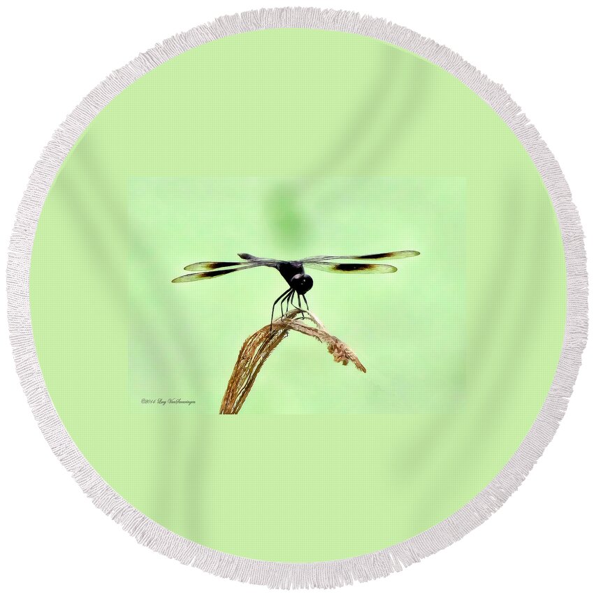 Dragonfly Photograph Round Beach Towel featuring the photograph Ready for TakeOff by Lucy VanSwearingen