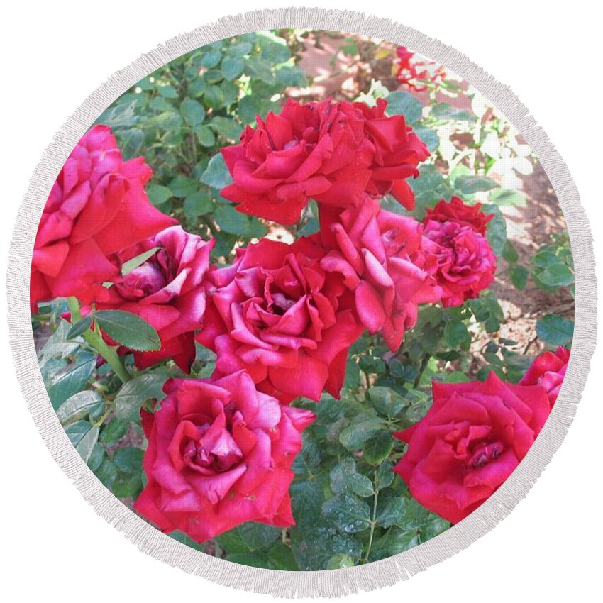 Reds Round Beach Towel featuring the photograph Red and Pink Roses by Chrisann Ellis