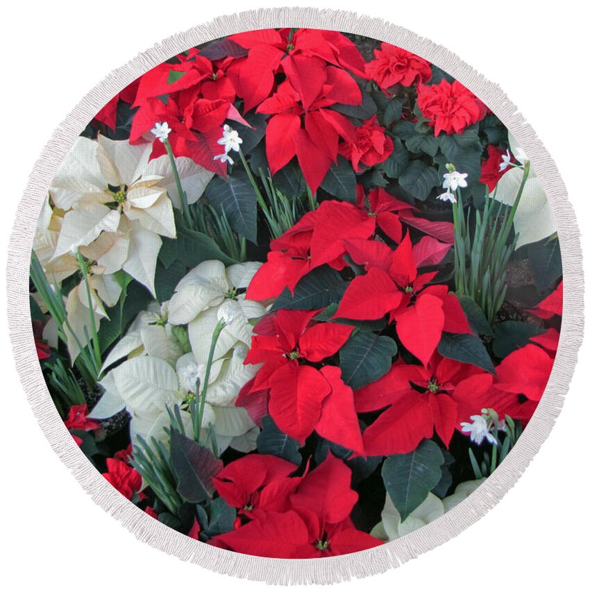 Festive Round Beach Towel featuring the photograph Red and White Poinsettias by Tikvah's Hope