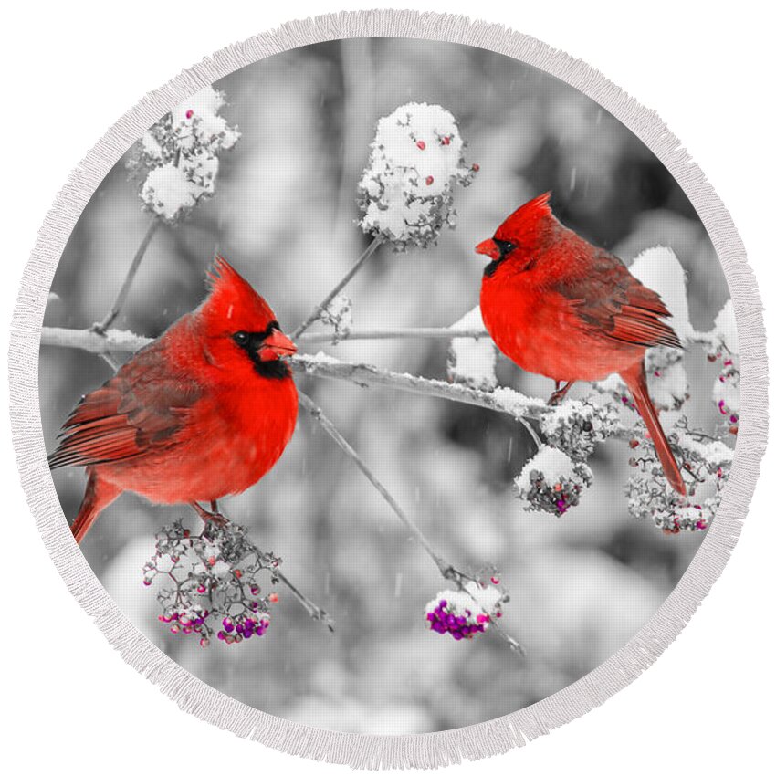 Cardinal Round Beach Towel featuring the photograph Red Cardinals in the Snow by Anthony Sacco