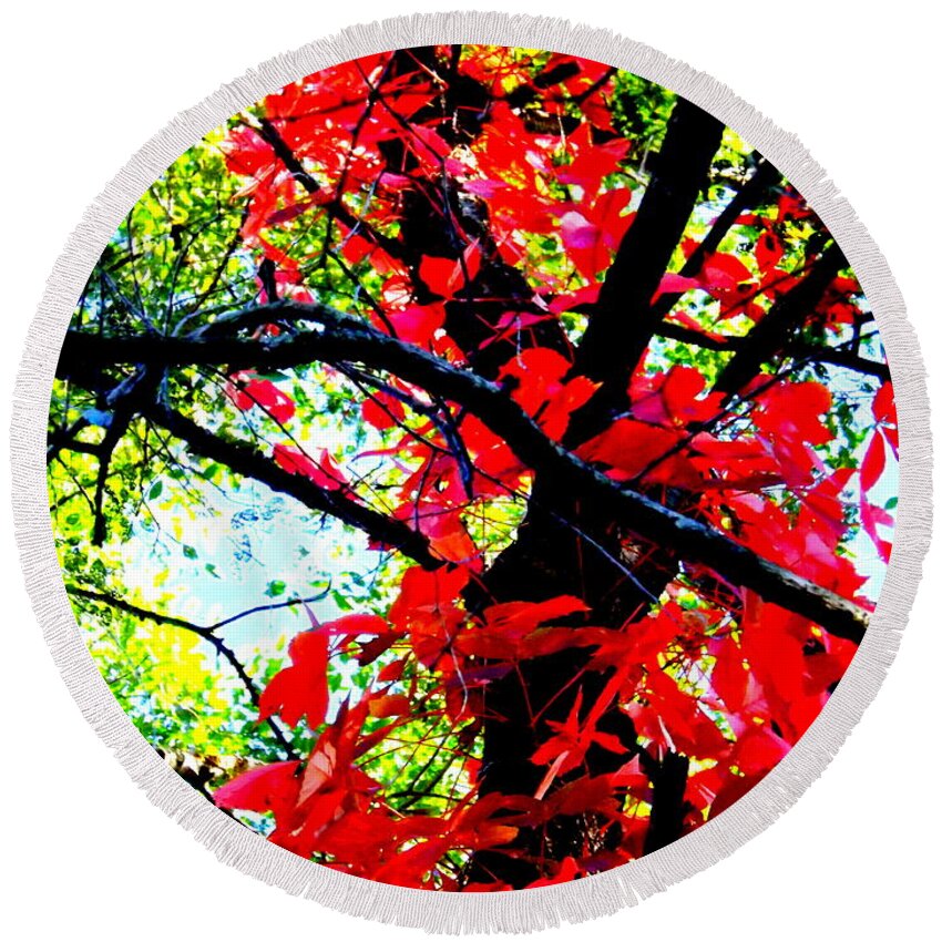 Red Creeper 2 Round Beach Towel featuring the photograph Red Creeper 2 by Darren Robinson