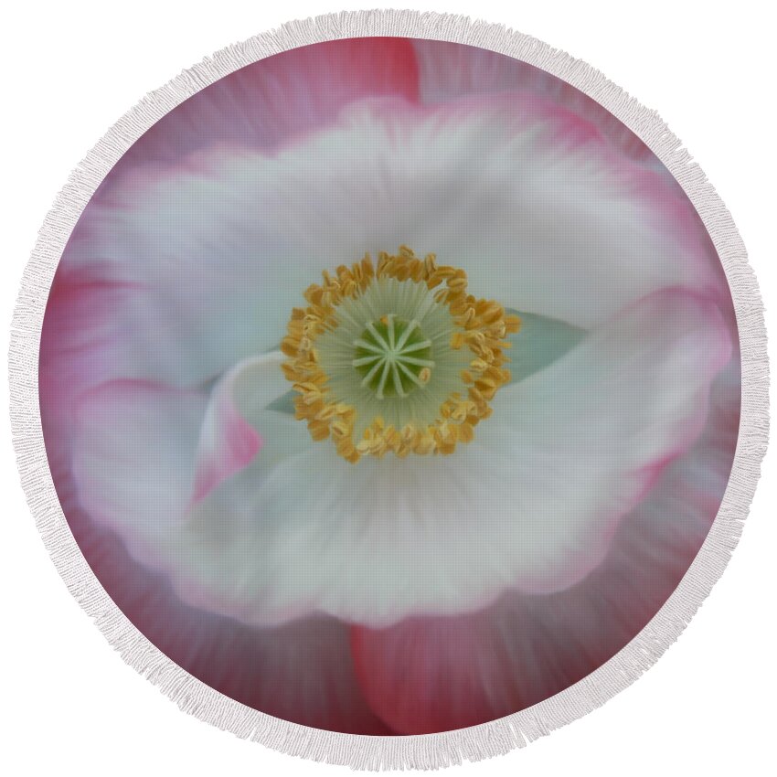Poppy's Eye Round Beach Towel featuring the photograph Red Eye Poppy by Barbara St Jean