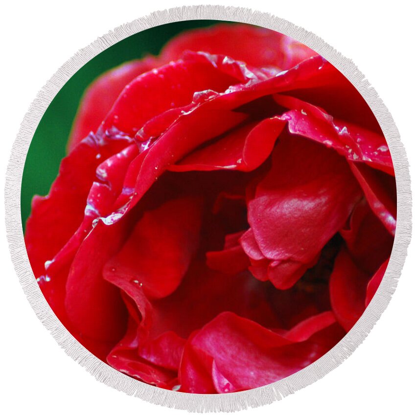 Red Round Beach Towel featuring the photograph Red Flower Wet by Matt Quest