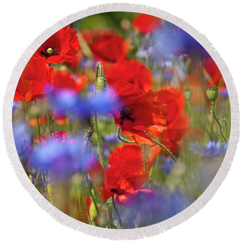 Poppy Round Beach Towel featuring the photograph Red Poppies in the Maedow by Heiko Koehrer-Wagner
