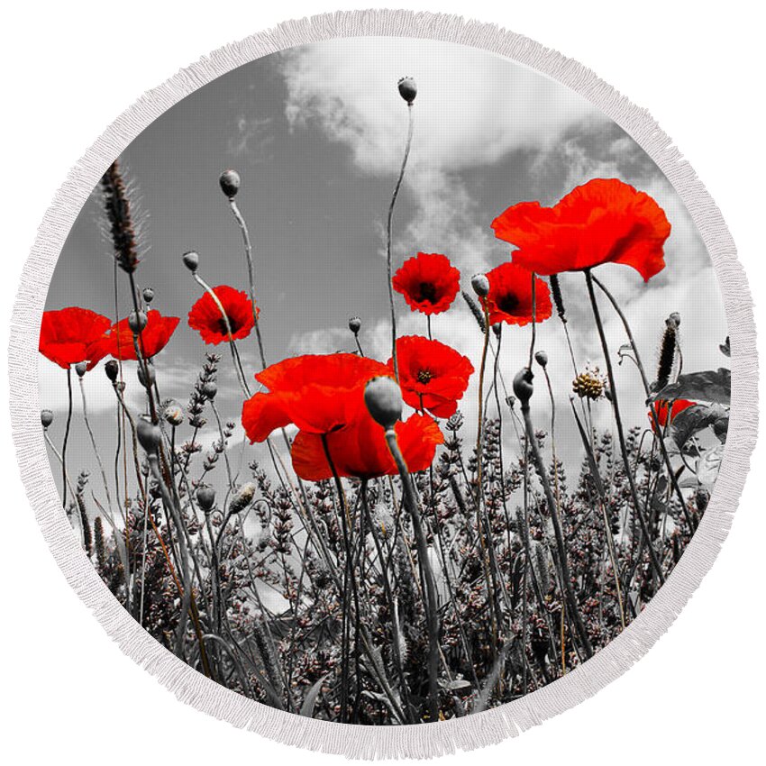 Red Poppies On White And Black Background Round Beach Towel featuring the photograph Red Poppies on black and white background by Dany Lison