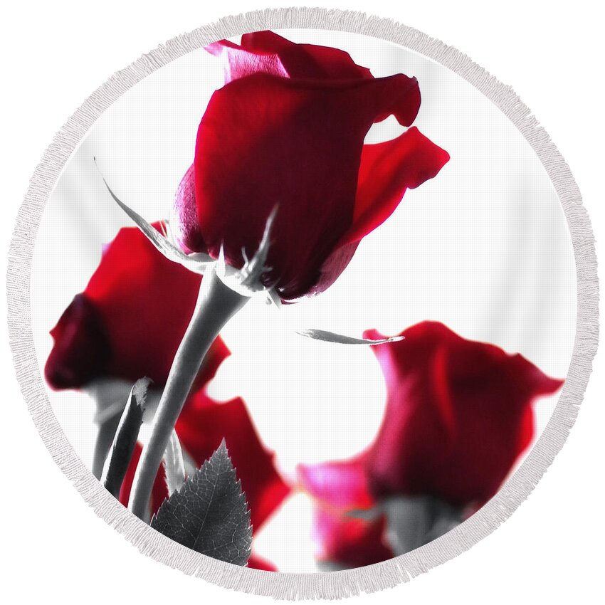 Red Rose Round Beach Towel featuring the photograph Red Rose Color Block 2 by Joseph Hedaya
