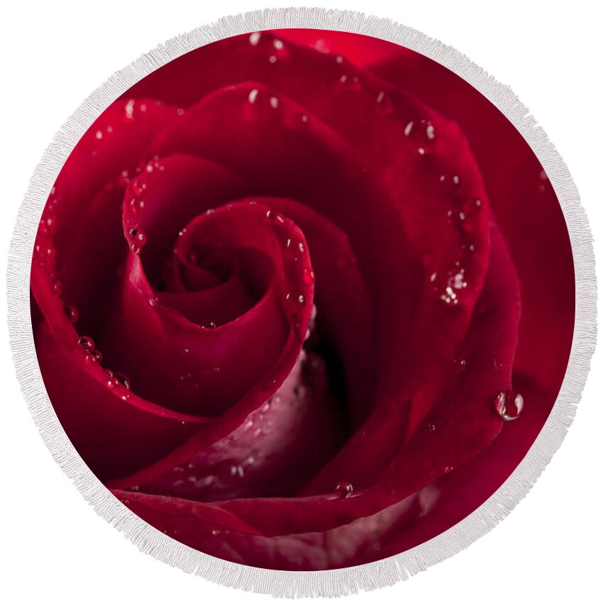 Beautiful Round Beach Towel featuring the photograph Red rose by Gunnar Orn Arnason