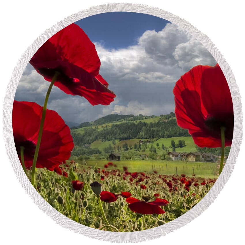 Appalachia Round Beach Towel featuring the photograph Red White and Blue by Debra and Dave Vanderlaan