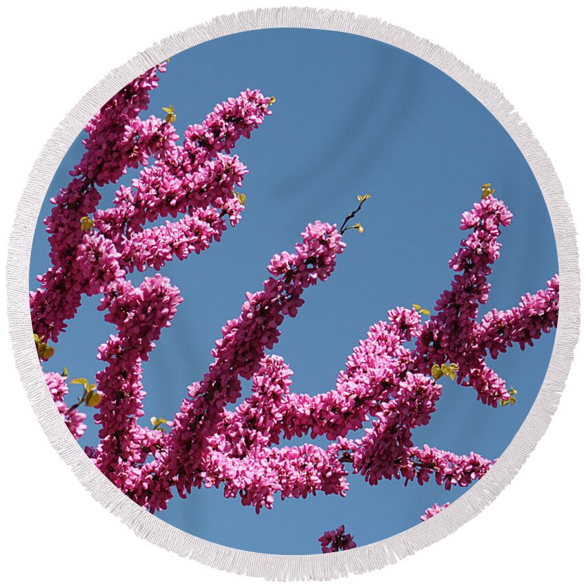 Nature Round Beach Towel featuring the photograph Redbud Against Blue Sky by William Selander