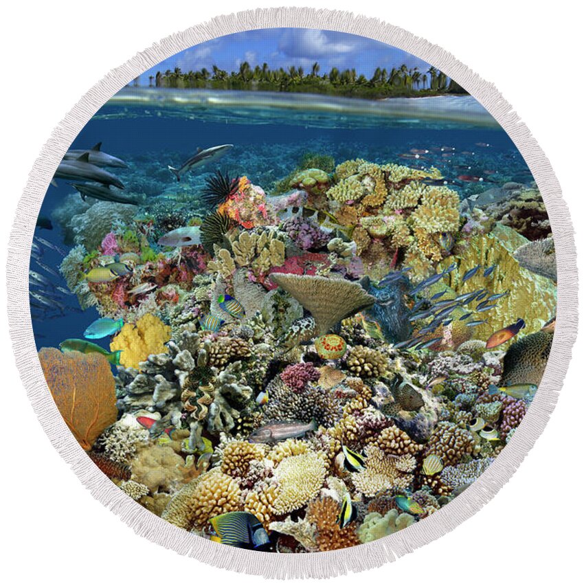 Marine Life Round Beach Towel featuring the digital art Reef Magic by Artesub