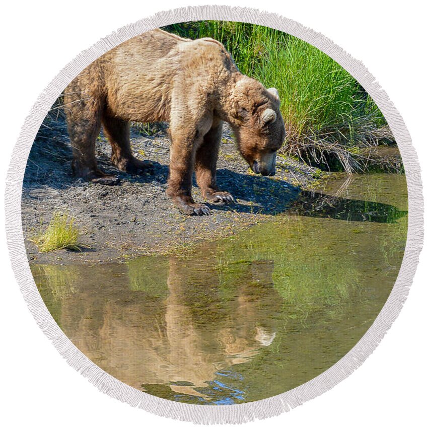 Alaska Round Beach Towel featuring the photograph Reflection by Joan Wallner