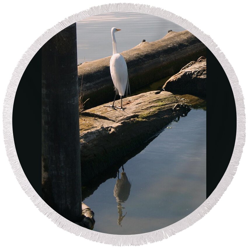 Egret Round Beach Towel featuring the photograph Reflections of an Egret by Beth Collins