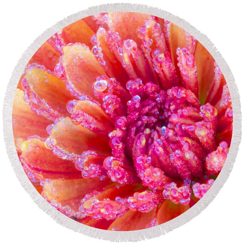Dew Round Beach Towel featuring the photograph Reminiscent Of The 70's by Heidi Smith