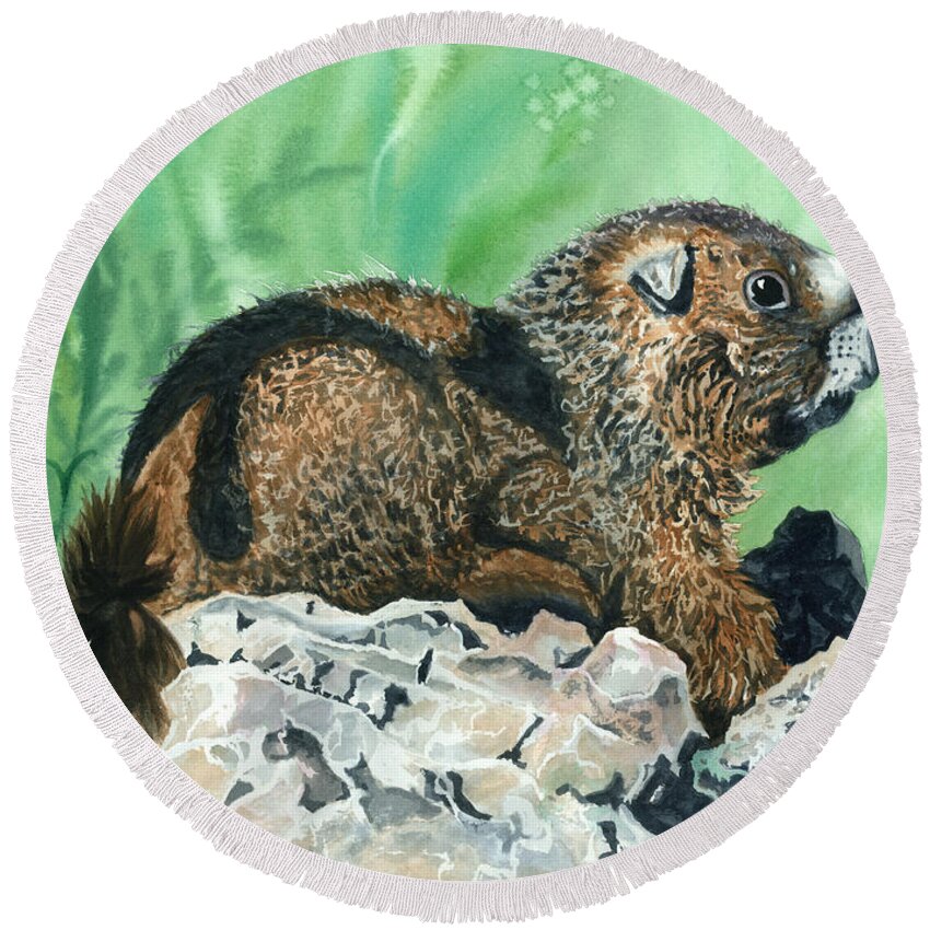 Marmot Round Beach Towel featuring the painting RMBL Marmot by Barbara Jewell