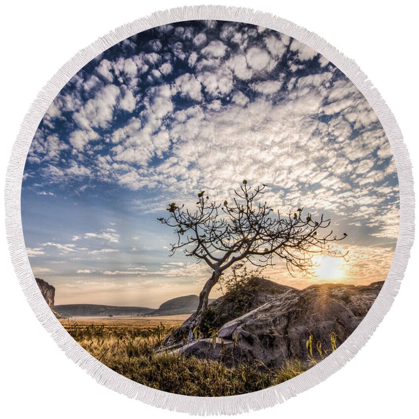 Africa Round Beach Towel featuring the photograph Rock Tree and Rising Sun by Mike Gaudaur