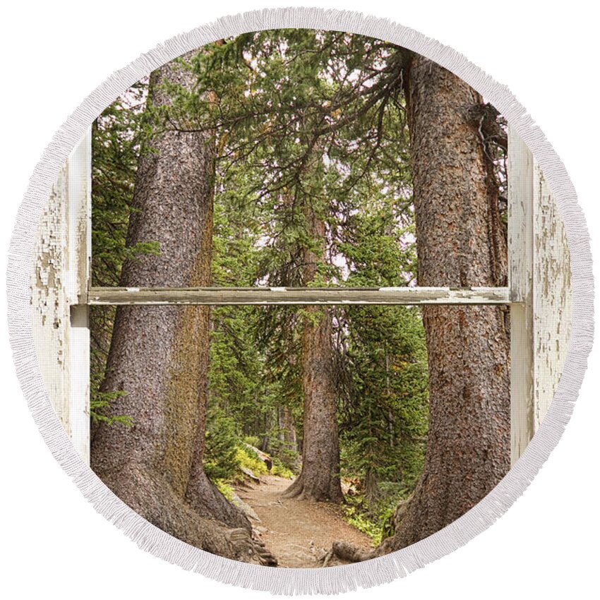 Forest Round Beach Towel featuring the photograph Rocky Mountain Forest Window View by James BO Insogna