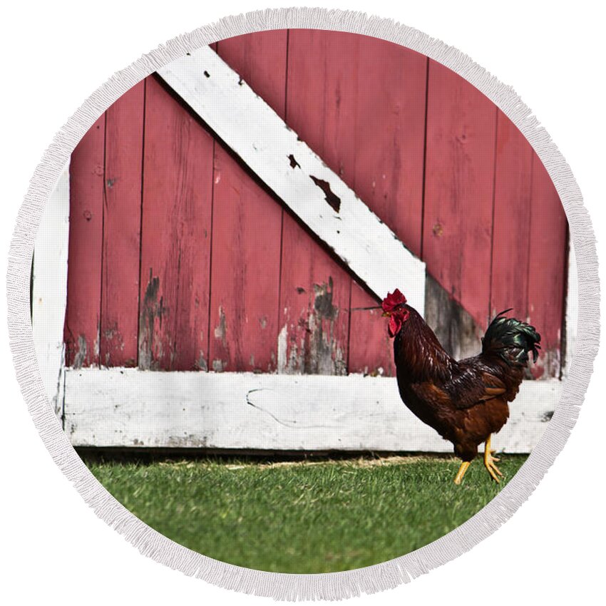 Wisconsin Round Beach Towel featuring the photograph Rooster Strut by Ms Judi