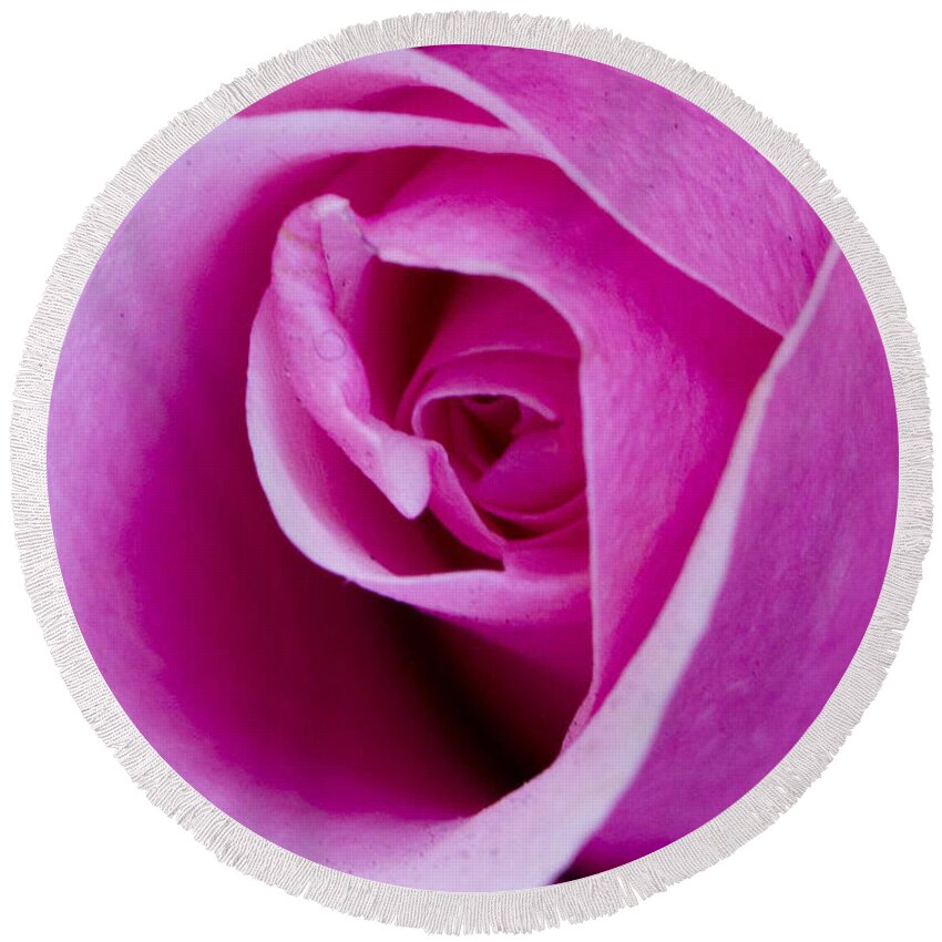 Rose Round Beach Towel featuring the photograph Rose by Bob Johnson