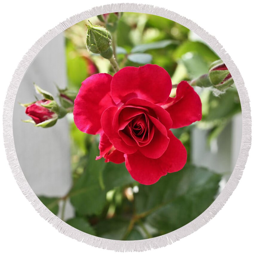 Red Rose Photographs Round Beach Towel featuring the photograph Roses Are Red by Joann Copeland-Paul