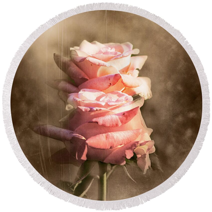Rose Round Beach Towel featuring the photograph Roses by Stefano Senise