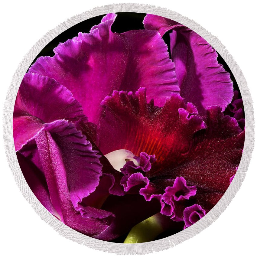 Orchid Round Beach Towel featuring the photograph Ruffles And Velvet by Phyllis Denton