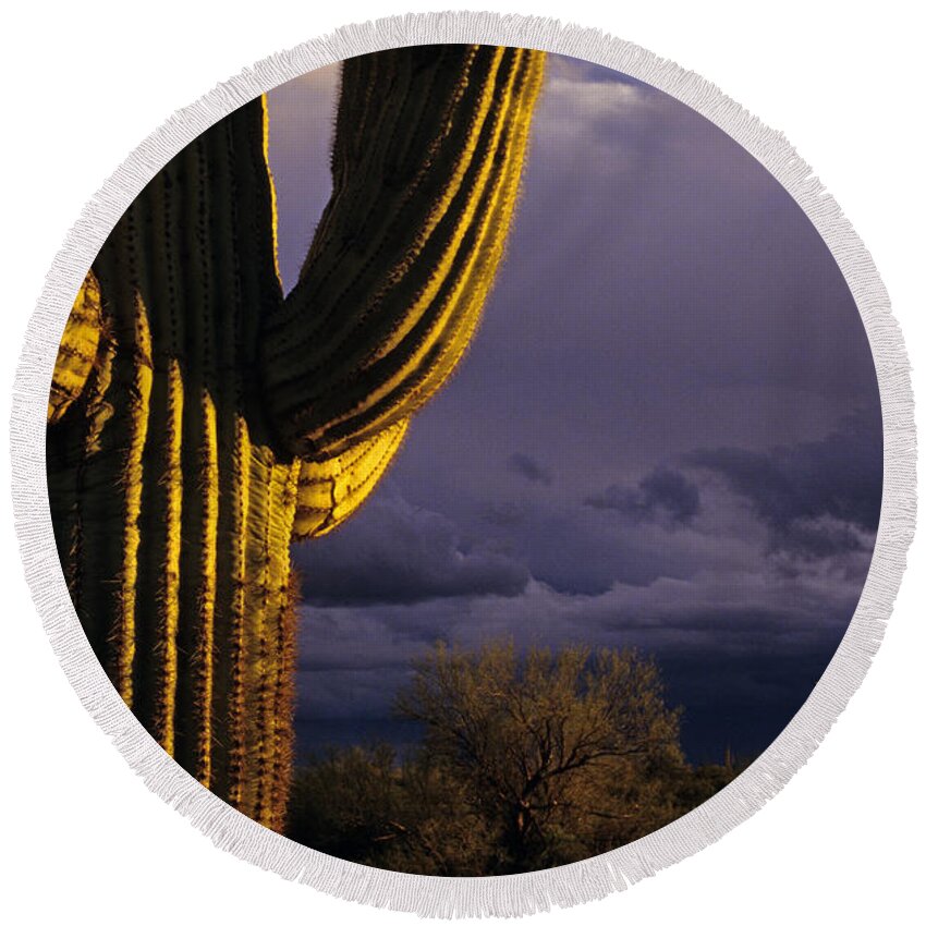 American Southwest Round Beach Towel featuring the photograph Saguaro cactus sunset at dusk Arizona State USA by Jim Corwin