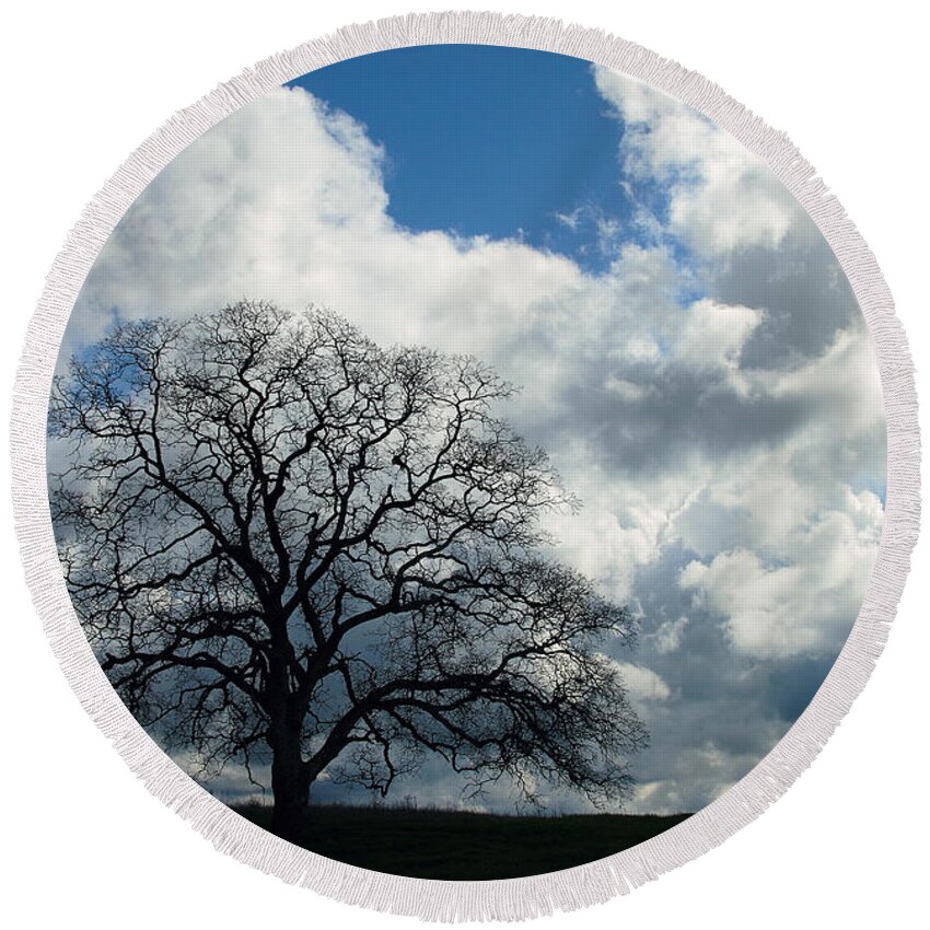 Tree Round Beach Towel featuring the photograph Same Tree Many Skies 13 by Robert Woodward