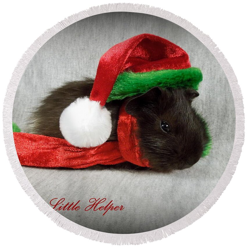 Guinea Round Beach Towel featuring the photograph Santa's Little Helper by Renee Trenholm