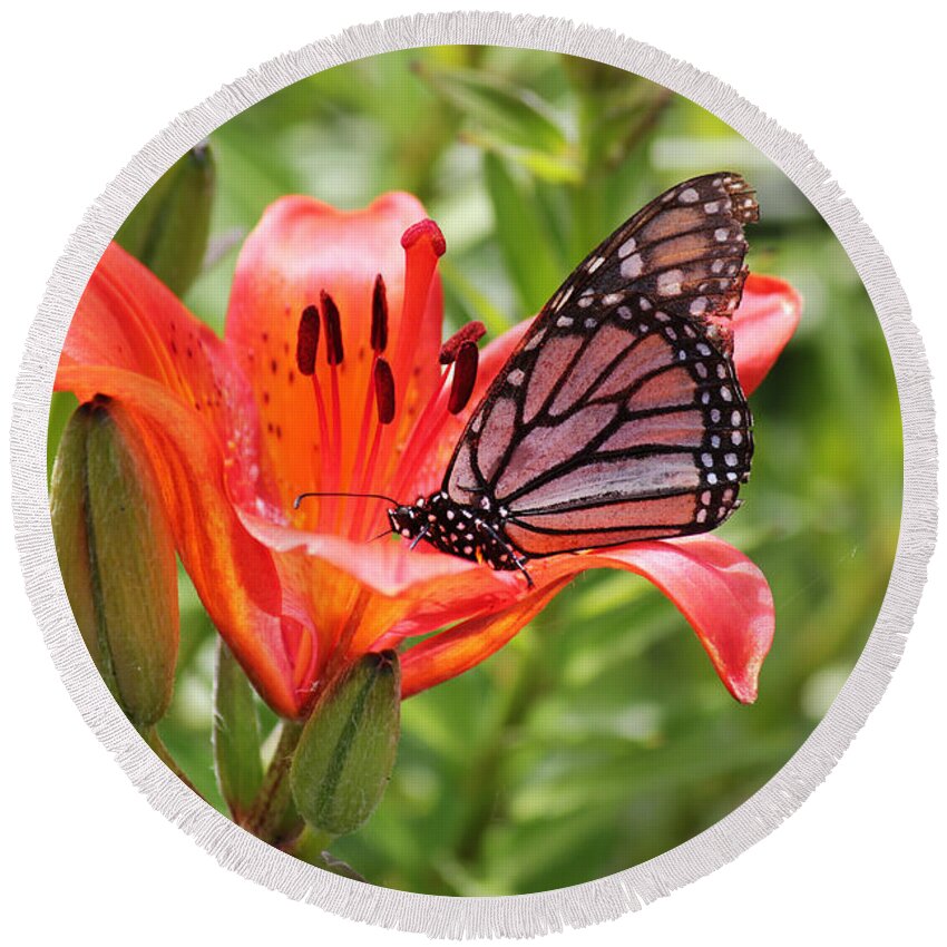 Saskatchewan Round Beach Towel featuring the photograph Saskatchewan Prairie Lily and Butterfly by Ryan Crouse