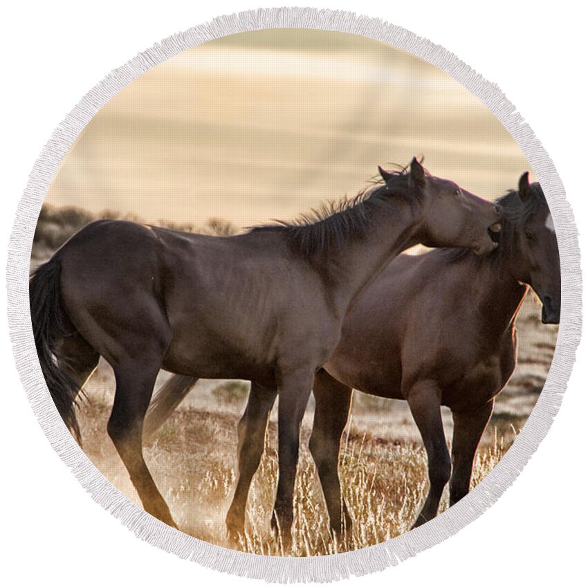 Brumbies Round Beach Towel featuring the photograph Saying it Softly by Douglas Barnard