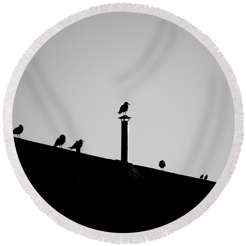 Birds Round Beach Towel featuring the photograph Sea Gulls in Silhouette by Allan Morrison