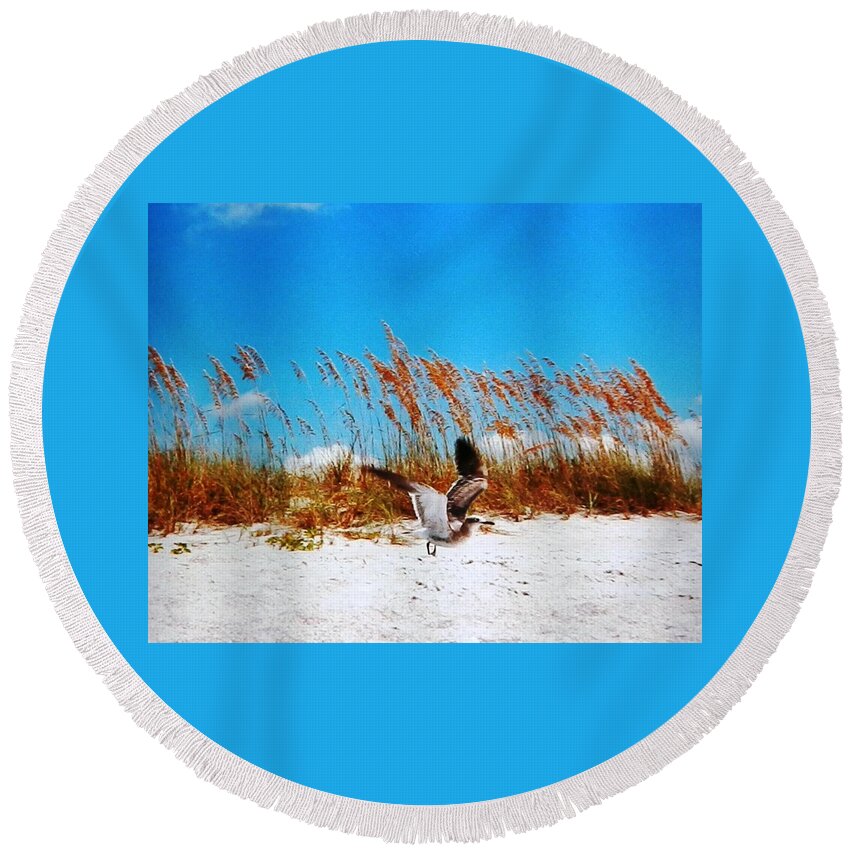 #bright #blue Round Beach Towel featuring the photograph Seagull in Flight Beach Landing by Belinda Lee