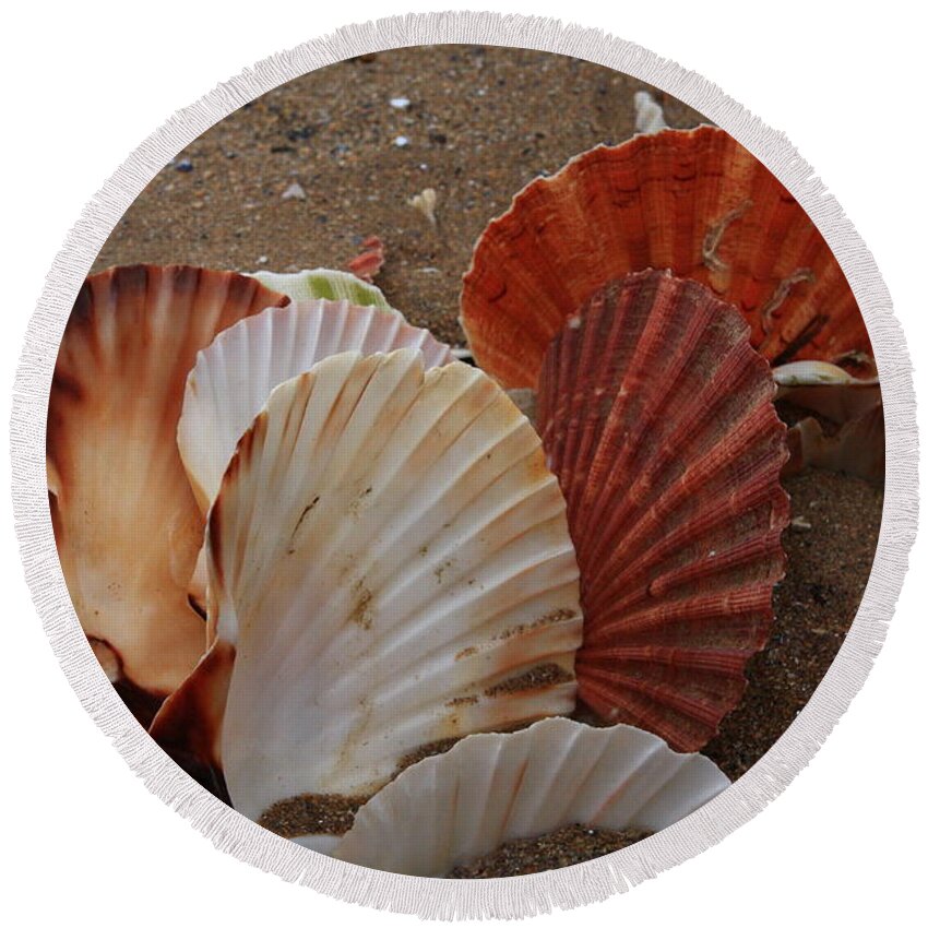 Shells Round Beach Towel featuring the photograph Seashell Sail by Aidan Moran