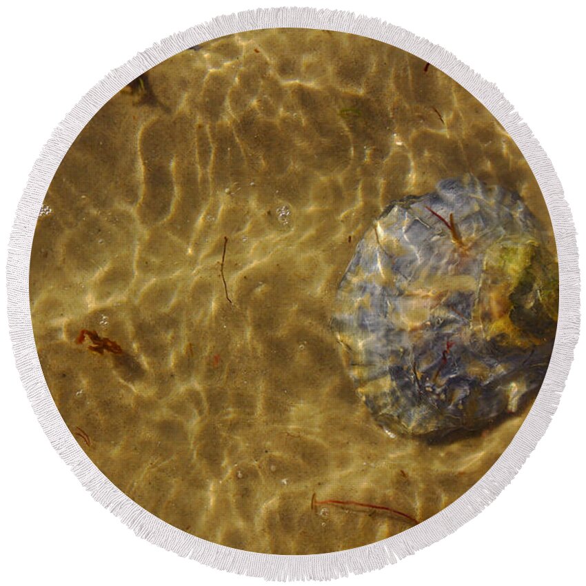 Isle Of Wight Round Beach Towel featuring the photograph Seashell Sun and Sea by Jeremy Hayden