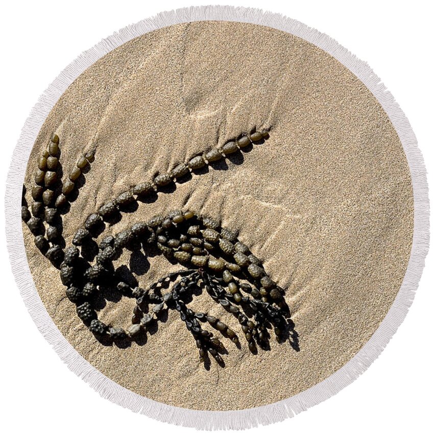 Seaweed Round Beach Towel featuring the photograph Seaweed on beach by Steven Ralser