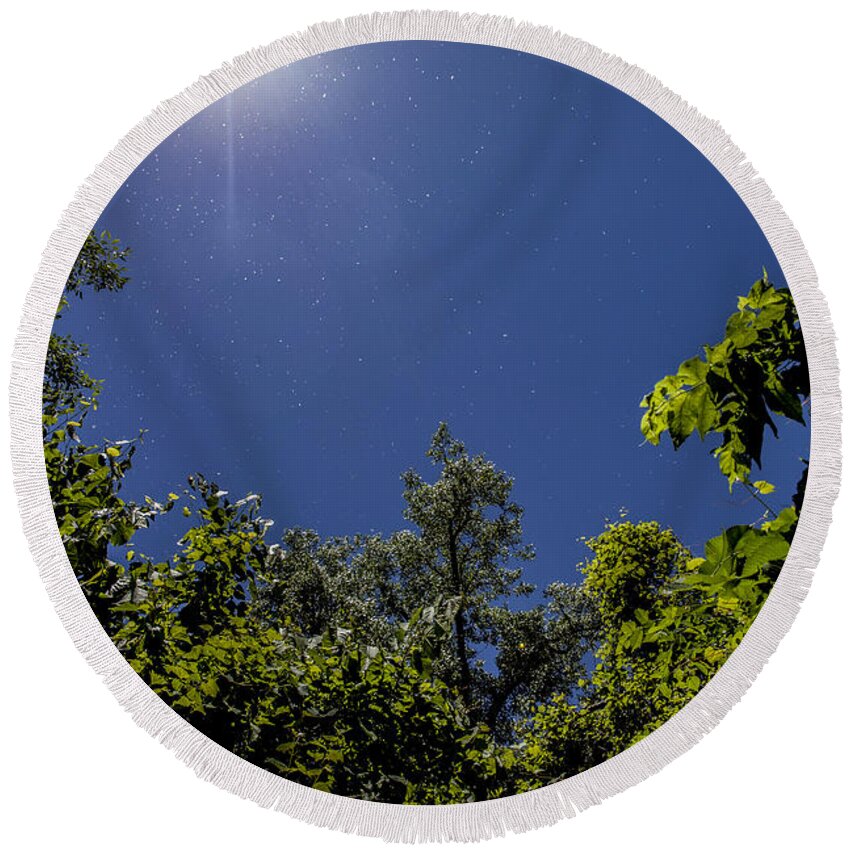 Www.cjschmit.com Round Beach Towel featuring the photograph Seeds in the Air by CJ Schmit