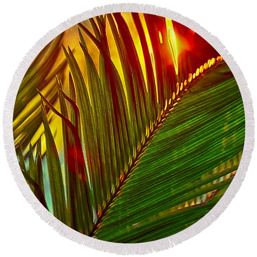 Palm Round Beach Towel featuring the photograph Sego Frond Fire by Scott Campbell