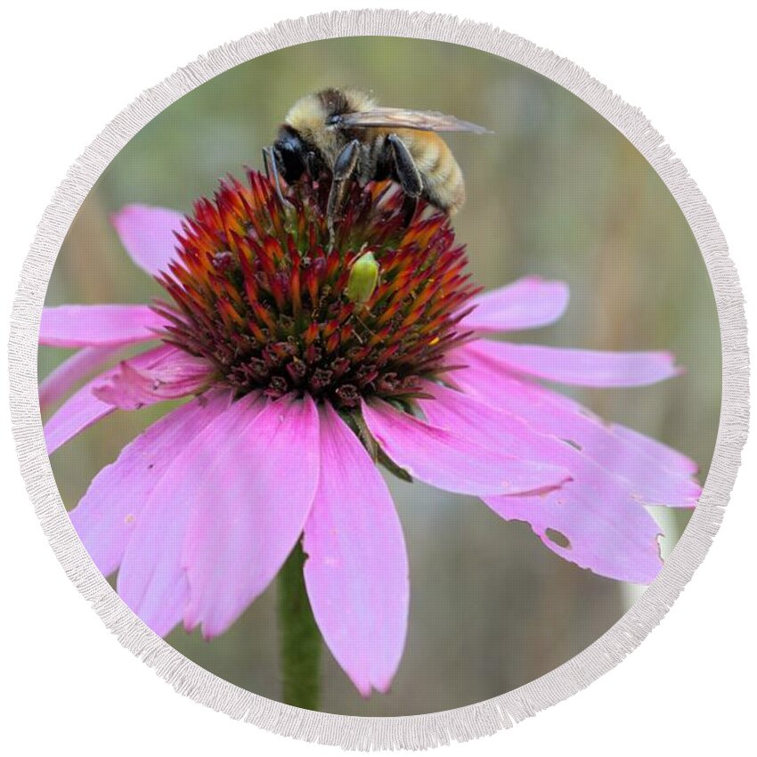 Bee Round Beach Towel featuring the photograph Sharing A Flower by Bonfire Photography