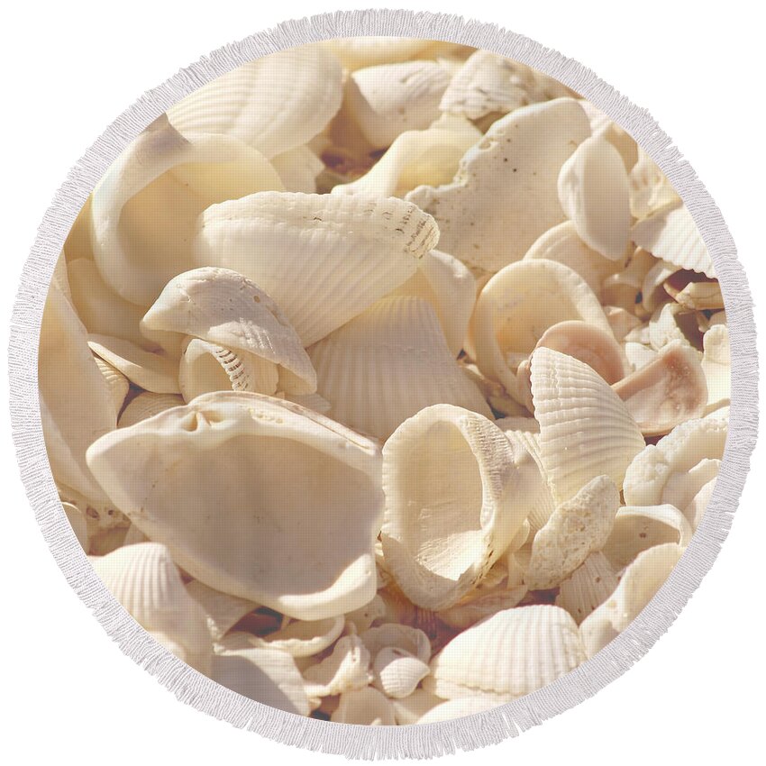 Seashells Round Beach Towel featuring the photograph She Sells Seashells by Kim Hojnacki