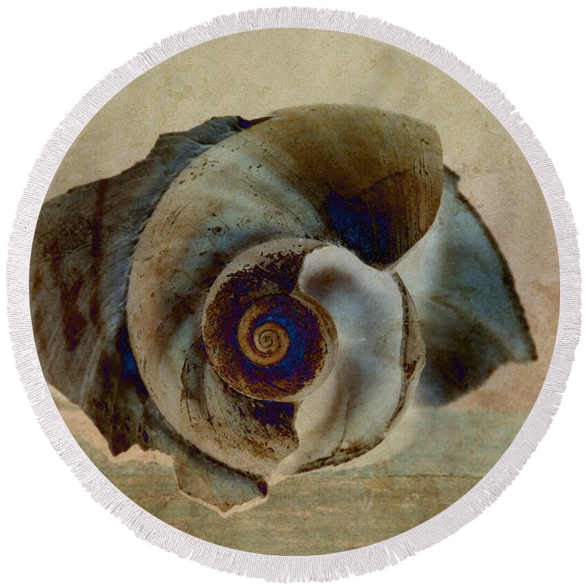 Shell Round Beach Towel featuring the photograph Shell 16 by WB Johnston