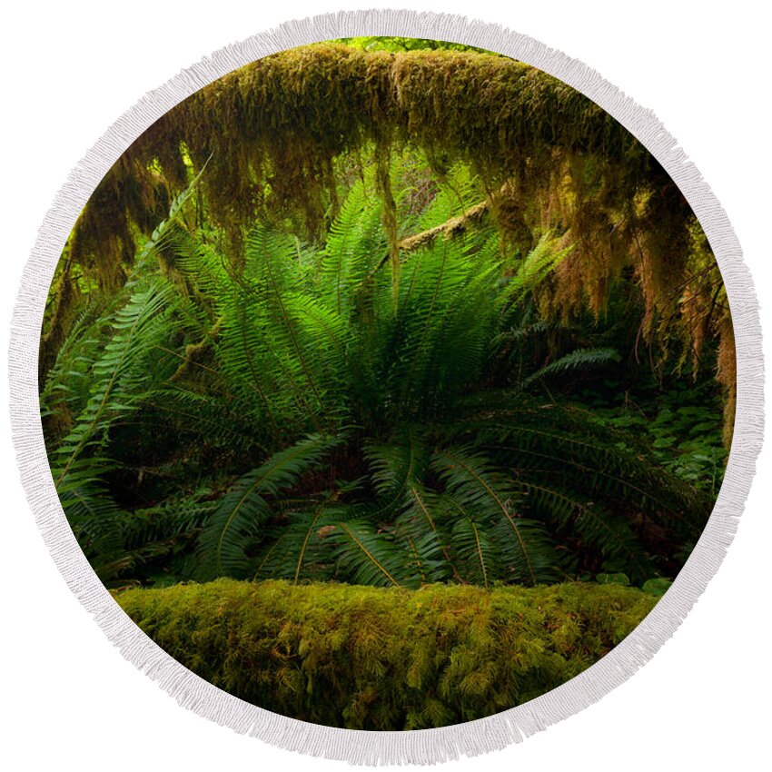 Shelter Round Beach Towel featuring the photograph Sheltered Fern by Andrew Kumler