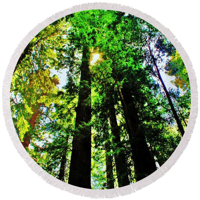 Redwoods Round Beach Towel featuring the photograph Shine by Benjamin Yeager