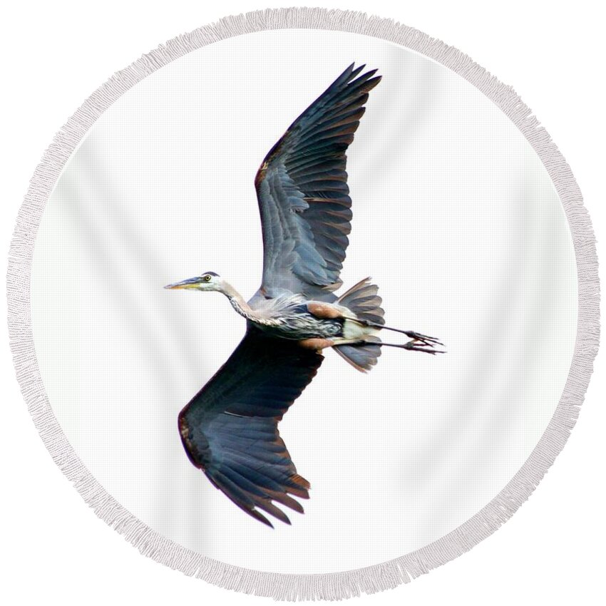 Bird Round Beach Towel featuring the photograph Showing some leg by Heather King