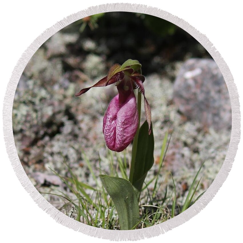 Lady Slipper Round Beach Towel featuring the photograph Showy Lady's Slipper 1 by Ruth Kamenev