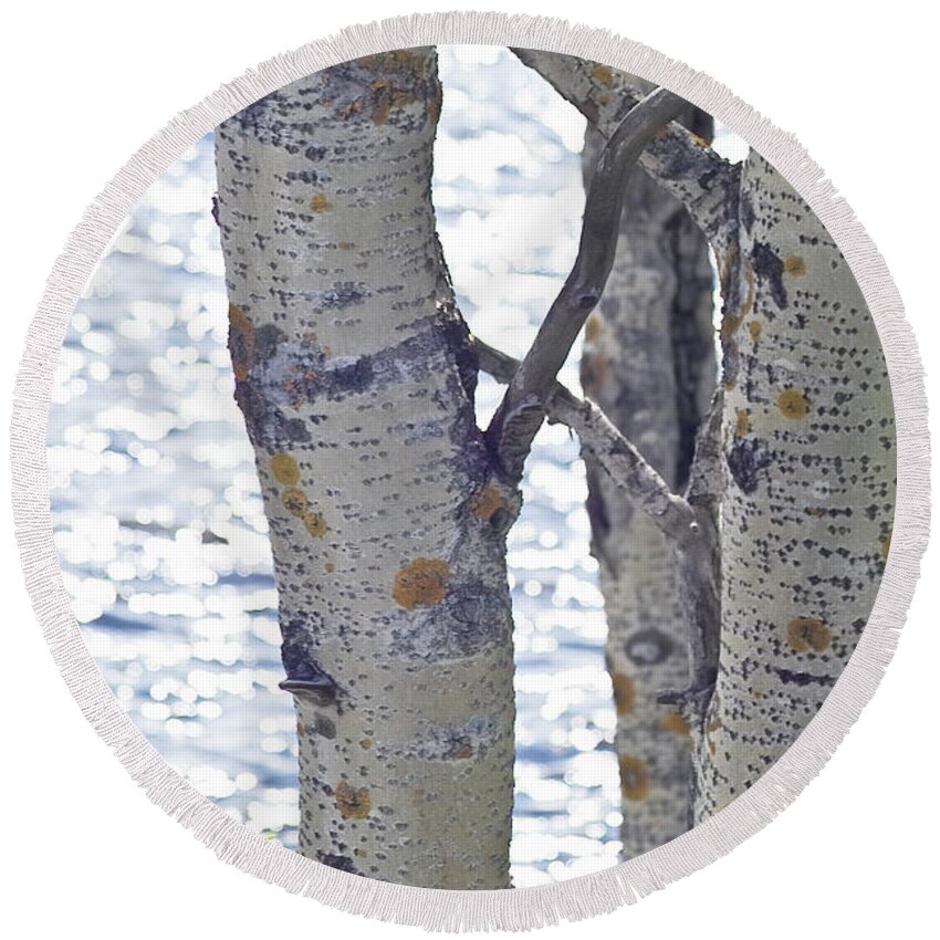 Tree Round Beach Towel featuring the photograph Silver birch trees at a sunny lake by Heiko Koehrer-Wagner