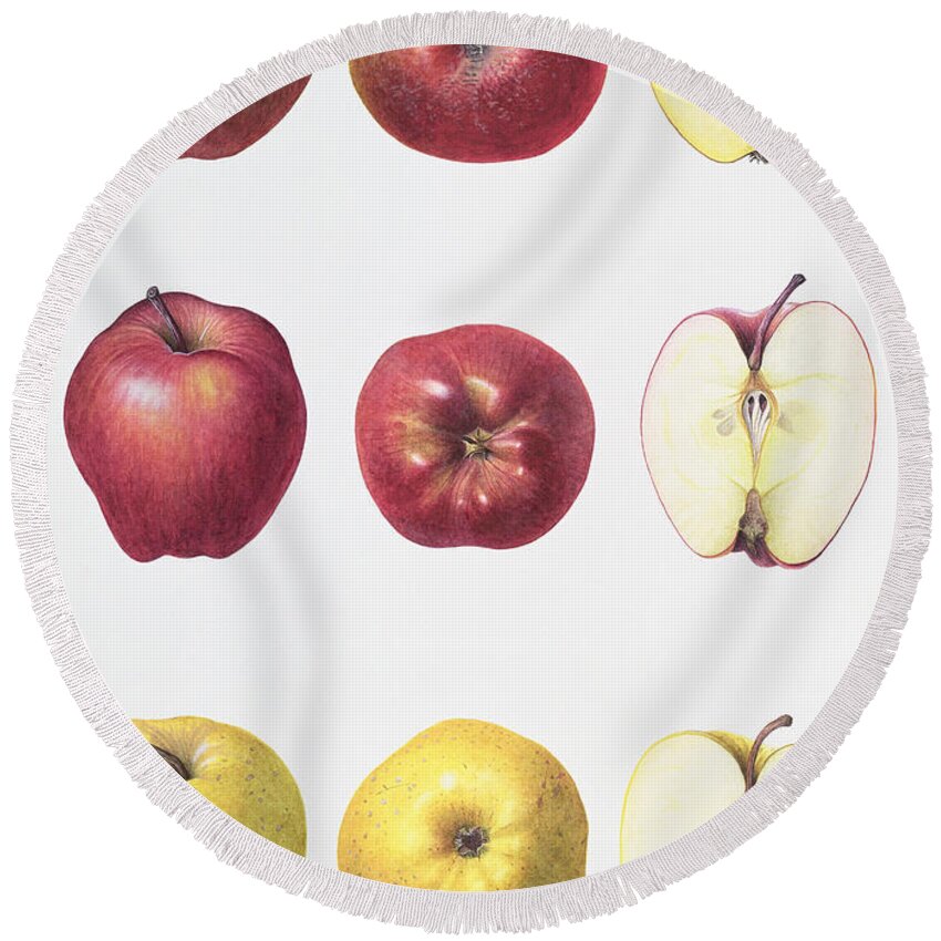 Designs Similar to Six Apples by Margaret Ann Eden